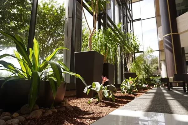 Photograph of a beautiful San Antonio Coworking Space Lobby With Conference Room Rental Options